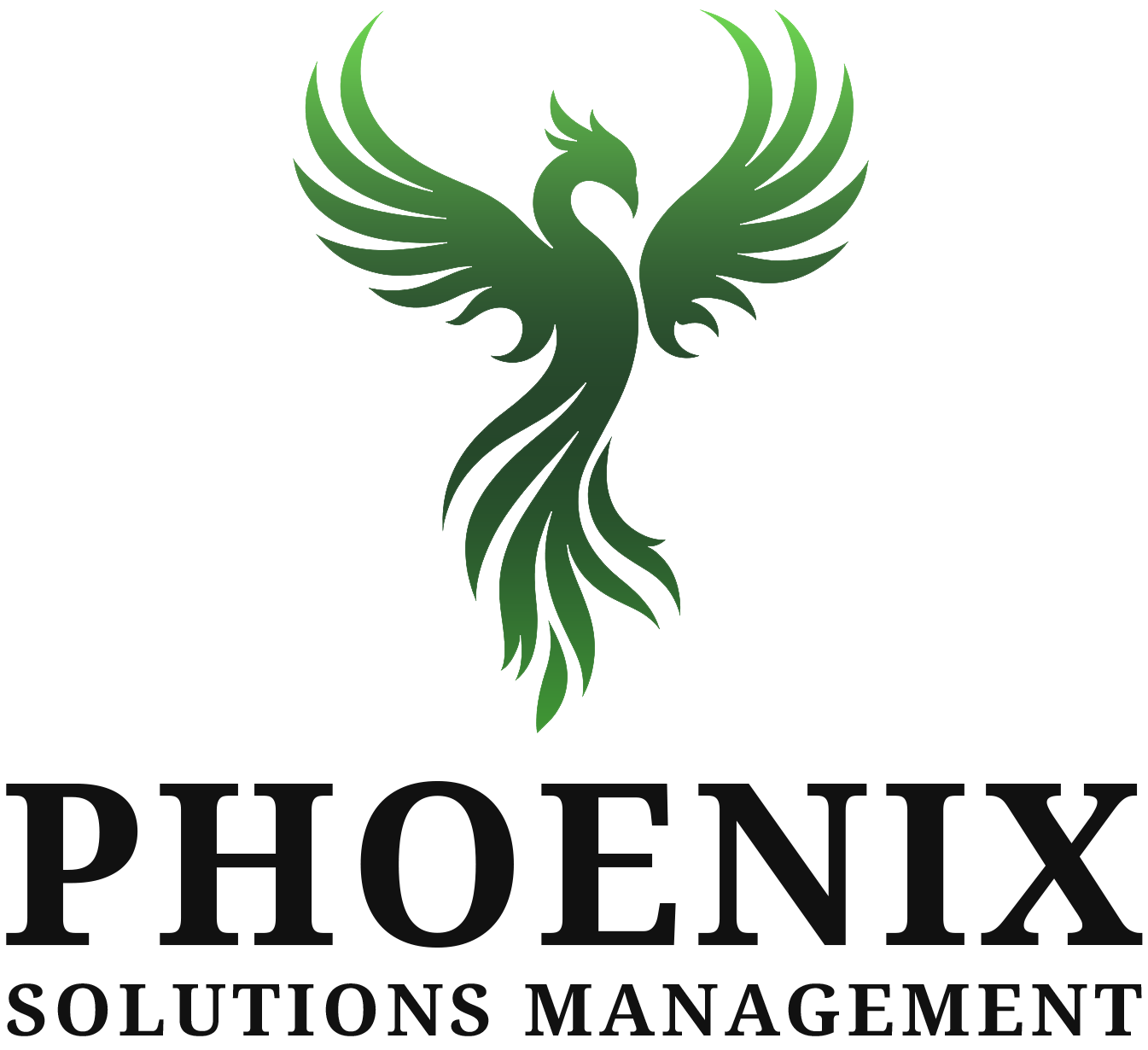 Phoenix Solutions Management